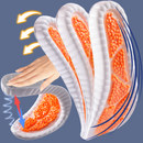 OrthoSense - Plantillas Confort